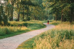 Person walking outdoors on a park route for daily movement and fitness